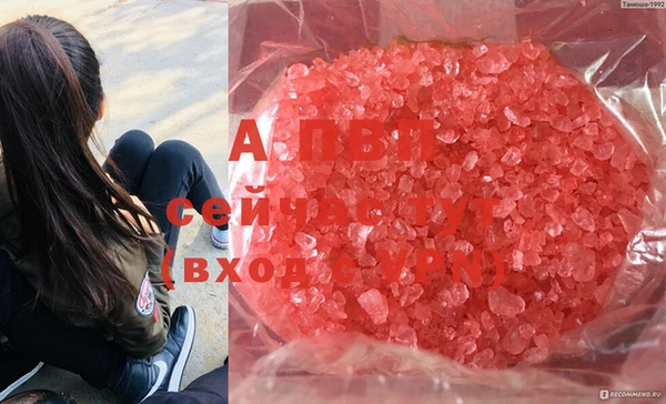 спиды Бородино