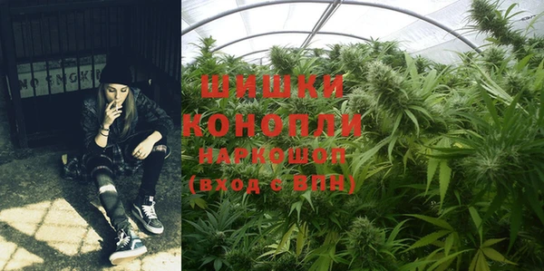 спиды Бородино