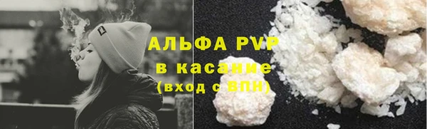 спиды Бородино