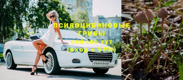 mdpv Верея