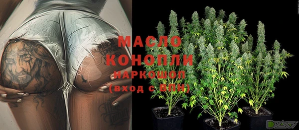 спиды Бородино