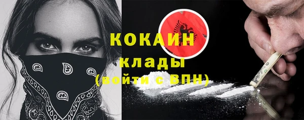 спиды Бородино
