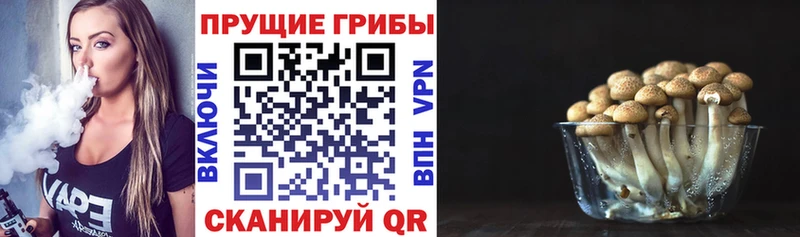 мега онион  Калининск  Псилоцибиновые грибы Magic Shrooms 